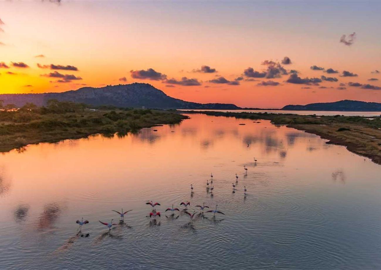 Panoraias Luxury Suite Kyparissia Eksteriør billede